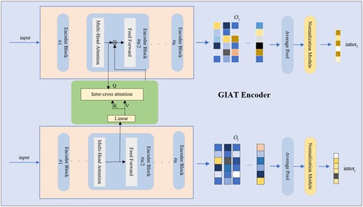 The detailed operational principle of the GIAT encoder employs a cross-attention mechanism to process drug matrices derived from the GNN encoder, thereby producing distinct feature matrices denoted as O1 and O2 for each drug pair. Subsequently, through average pooling and normalization, interaction vectors inter1 and inter2 are computed for these drug pairs.