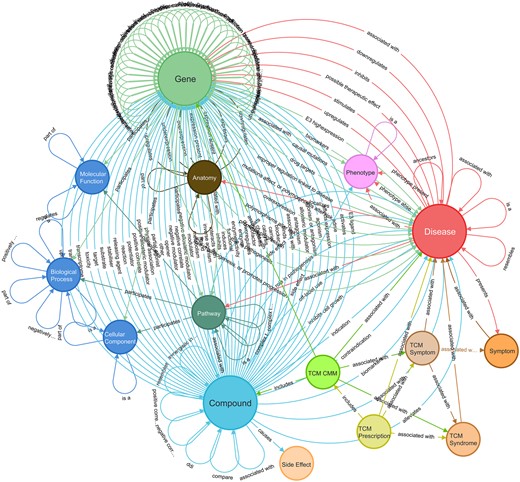 The schema of TarKG. The circles denote entity types, and the links denote relations between entity type pairs. The primary relations revolving around the three core entity types: disease, gene, and compound, can be observed. Detailed relation pairs are given in Supplementary Table S5.