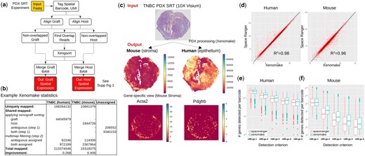 Xenomake pipeline and provided analyses. (a) Pipeline overview. Details are presented in Supplementary Fig. S1. (b) Xenomake statistics on a TNBC PDX SRT dataset. (c) Overview of input and outputs. Application on TNBC is shown. Using the outputs, users can visualize the spatial distribution of mouse (stroma) and human (epithelium) mRNA reads. (d) Comparison between the tool and Space Ranger in total UMI count (across barcodes) per gene. Each dot is a gene. Most genes are distributed below the identity line (black), indicating higher read counts assigned by Xenomake. (e, f) Comparison in total genes detected per barcode for each detection criterion: UMI ≥ 1, 2, 3, 4, and 5.