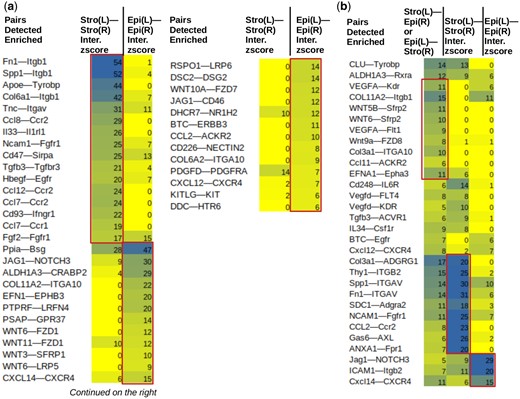 Ligand–receptor analysis. For stroma-stroma (a), epithelium-epithelium (a), and stroma-epithelium ligand receptor interactions (b). Top ligand–receptor pairs are shown. Interaction z-scores are indicated. Boxed: specific pairs. In the heading, L: ligand, R: receptor. As an example, for Fn1-Itgb1, Stro(L)-Stro(R) tests the spatial interaction between Fn1 ligand and Itgb1 receptor both in stroma compartment. Epi(L)-Epi(R) for the same pair tests interaction between FN1 ligand and ITGB1 receptor both in epithelium (genes capitalized as they are from human reads).