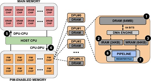 Typical organization of an UPMEM-based server including one or several host CPU(s), main memory, and PIM-enabled memory (left). The internal components of a PIM chip are depicted on the right based on Gómez-Luna et al. (2022).