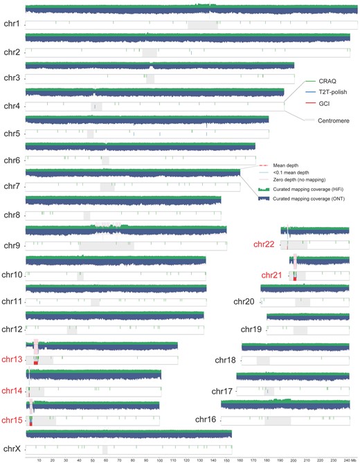 Assembly quality evaluation for human genome CHM13. Long read mapping and assembly issues as reported by GCI, T2T-polish, and CRAQ on CHM13 genome are shown. Horizontal dashed lines in the coverage plots represent the whole-genome mean mapping depth. Shaded regions suggest the regions with low high-confidence read mapping supports (<0.1 times the mean depth) and no support (zero depth), respectively. Five acrocentric chromosomes containing rDNA regions are highlighted.