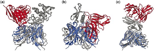 Example structures where EudockScore outperformed AFsample. The PDB ID is (a) 1MLC, (b) 5WK3, and (c) 6A77, respectively. Structures are superimposed based on the antigen structure. Here, gray indicates the experimentally defined PDB structure. Blue indicates structures with good EuDockScore-AFM and DockQ, but poor AFM ranking confidence. Red indicates structures with poor EuDockScore-AFM and DockQ, but good AFM ranking confidence.