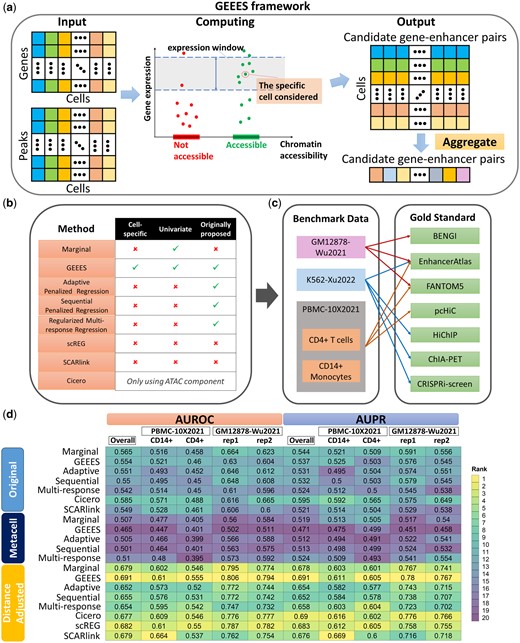Overview of GEEES and the benchmarking pipeline, and the overall summary of the results. (a) GEEES takes as input a gene (G) by cell (C) gene expression matrix and a peak (E) by cell (C) chromatin accessibility matrix from a multi-modal single-cell dataset. It outputs a cell (C) by candidate gene–enhancer pairs (∑gGEg) matrix with scores quantifying the strength of the association for each single cell. This matrix is further aggregated across cells to reveal the gene–enhancer interactions in the sample. (b) Overview of the benchmarking pipeline. The methods listed were also evaluated using both metacells and a distance adjustment together with scREG. (c) Test datasets used for benchmarking and their corresponding gold standard datasets for evaluation. FANTOM5 for lymphocyte of B lineage is used for evaluation in GM12878-Wu2021. (d) Overall summary of the benchmarking experiments, both for individual datasets and in aggregate (Overall). The rankings of methods in each dataset are displayed along the columns with the numerical performance metrics. The numerical performance metrics are calculated based on aggregated gold standard where a gene–enhancer pair is true positive if it is validated by any gold standard for that dataset. Here, the benchmark results of K562-Xu2022 are excluded due to the lack of fragments file which is necessary for SCARlink. The overall summary including K562-Xu2022, while excluding SCARlink is provided in Supplementary Fig. S1.