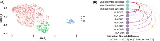 (a) UMAP visualization of CD14+ monocytes using GEEES statistics for all gene–enhancer pairs as features and colored by clustering result. (b) The differences between the normalized GEEES interaction strengths in cluster 0 and cluster 1 from (a) on HLA family genes and related enhancers shown as nodes. For gene g and enhancer e pair in cluster i, the normalized GEEES interaction strength is defined as GEEESNorm(gei)=GEEES(gei)maxe′∈Eg,i′∈{0,1}GEEES(ge′i′), where GEEES(gei) is the median aggregation of g-e GEEES statistics among all cluster i cells. The edge colors correspond to GEEESNorm(ge1)−GEEESNorm(ge0). The gene–enhancer pairs validated by the pcHiC-Javierre2016 are marked by stars on the edges.