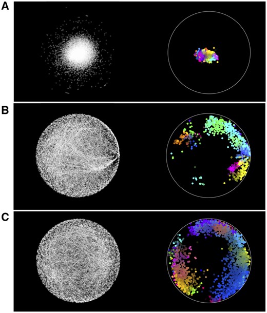 Functional maps of the budding yeast GI network. On the left hand side of sub-plots A, B, and C, we show the Spring Embedding, GraCoal0 embedding and GraCoal2 embedding of the budding yeast GI network. On the right hand side, we show the functional maps produced by SAFE using GO-BP annotations, which overlay these embeddings with coloured functional domains (details provided in Supplementary Section S3.3).