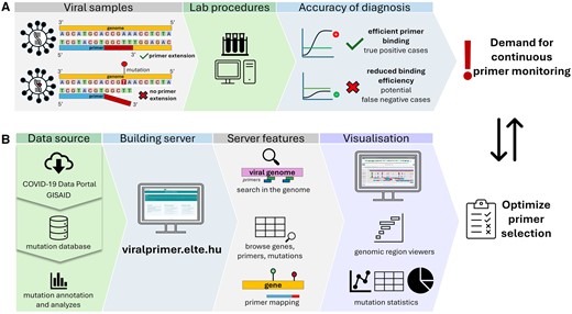 Overview of the ViralPrimer project. (A) The efficiency of PCR tests is affected by the variability in viral genome. Mutations near the 3ʹ end of the primer target region (designated as high-risk) can lead to false-negative results, highlighting the significance of continuous primer assessment. (B) Our project uses data from a mutation database incorporating the analysis results of various public sample sets (GISAID, COVID-19 Data Portal), enabling the assessment of mutations and samples concerning primer binding sites. Classification relies on the genomic location, length, and co-occurrence of mutations in each primer target region. The main features of the server are the options of searching in the genome, browsing primers, and primer mapping. The ViralPrimer webserver offers visualization tools, such as region viewers and mutation statistics, to aid in obtaining results and selecting optimal primers for specific regions. This tool further addresses the ongoing need for rapid primer testing and ensures the accuracy of diagnostic results.