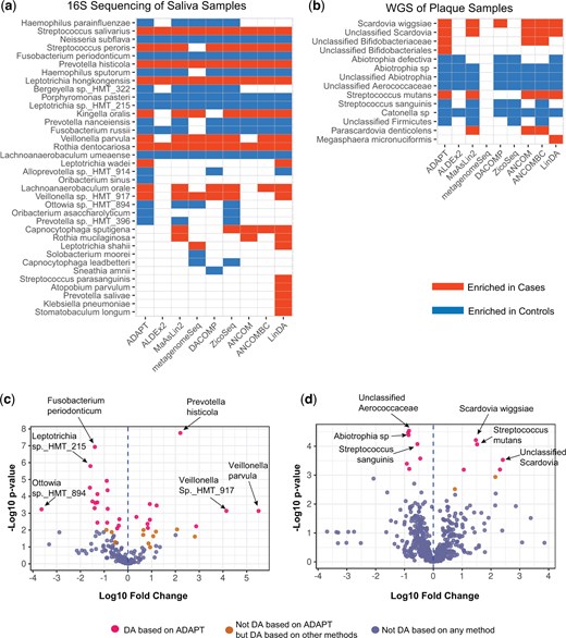 Microbiome DAA between children who developed ECC and those who did not. (a) Thirty-eight out of 155 total ASVs in the saliva samples collected at 12 months old are DA based on at least one method. ADAPT detects 27 DA ASVs. (b) Fourteen out of 590 taxa in the plaque samples collected between 36 and 60 months old are DA based on at least one method. ADAPT detects 12 DA taxa. (c) Volcano plot for DAA of saliva samples. (d) Volcano plot for DAA of plaque samples.