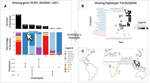Overview of the Pf-HaploAtlas app, and demonstration of its use for investigating aat1, a gene that has recently become of interest in malaria genomic surveillance. Panel A shows the Haplotype UpSet plot for aat1. The left-most haplotype, S258L, is the most prevalent and shows wide geographic distribution, as depicted by the wide variety of subpopulation colours. The cursor hovers over the second most frequent haplotype, F313S/Q454E, which is almost exclusively found in the eastern part of southeast Asia (AS-SE-E). Clicking on this haplotype generates the abacus plot (B) and the world map plot (C) directly below the Haplotype UpSet plot within the app. The abacus plot for F313S/Q454E highlights an evident increase in frequency in several locations across Laos, Cambodia, and Vietnam over the past two decades, as depicted by the gradient of increasing colour intensity from left to right (B). All images of plots have been edited to retain visual clarity within the manuscript. With all plots, hovering over data elements with the cursor provides more information.