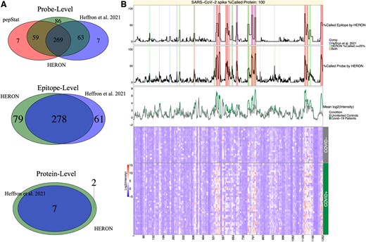 Venn diagram comparisons for COVID-19 dataset and Heatmap of SARS CoV-2 spike protein. (A) Venn diagrams of the linear peptide probe level (top), epitope level (middle), and protein level (bottom) where the green circle represents the calls made by HERON, the red circle represents the probe calls made by pepStat (Imholte et al. 2013), and the blue circle represents the calls made by Heffron et al. (2021). (B) Annotated heatmap (Gu et al. 2016, Gu 2022) of SARS CoV-2 spike protein. The heatmap (at the bottom) depicts the normalized intensity values for the probes (x-axis) tiled across the SARS-CoV-2 membrane protein and the individual patient serum samples (y-axis) with red representing high antibody (Ab) binding and blue representing low Ab binding. The top line plot indicates the percent of COVID-19 positive (COVID+) samples that were called as significantly differentially bound at least 2-fold over the average of the COVID-19 negative (COVID-) samples and after calculating the meta P-values (BH corrected, P-adj < 0.01) on the epitope level, the middle line plot indicates the percent of COVID+ samples called significantly 2-fold over the COVID-samples on the probe level (P-adj < 0.01), and the bottom line plot shows the average signal between control (COVID-) and positive samples. In these line plots, the % Called Probe by HERON and % Called Epitope by HERON are highlighted in red if both the HERON and Heffron et al. (2021) method called the same probes or group of probes, blue if only the Heffron et al. (2021) method called the probe or epitope, and light green if the probe or epitope was called by only the HERON method.