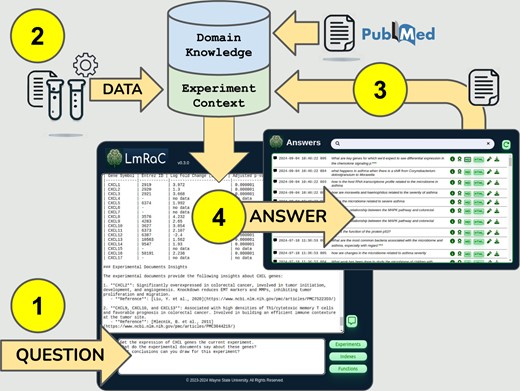 LmRaC workflow overview. (1) A user asks a question through the web application interface. This initiates a search of PubMed for articles relevant to mentioned genes, pathways, and/or diseases. These articles are saved as domain knowledge. (2) Quantitative data needed to answer the question is retrieved through a user-defined REST API as part of the experimental context. (3) Answers from previous questions may be saved to extend and refine the experimental context. (4) LmRaC answers the question using available domain knowledge and experimental context.