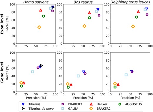 Gene and exon-level precision and recall for Tiberius, BRAKER3, GALBA, Helixer, BRAKER2, and AUGUSTUS. Tiberius, Helixer, and AUGUSTUS performed ab initio predictions while the other methods additionally incorporated extrinsic evidence: GALBA proteins from related species, BRAKER2 a large protein database, and BRAKER3 a large protein database and RNA-seq. For the human genome, Tiberius was also run de novo.