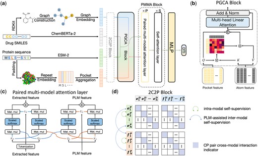 The overarching framework of DrugLAMP. (a) Basic process of DrugLAMP, including multiple modalities construction, multi-modal fusion, and final DTI prediction. The 2C2P module is added to enhance the model's generalization ability in real-world scenarios. (b) Details of the PGCA module, which uses pocket features as queries and atom features as keys and values to guide atom features, concatenating them with pocket features to effectively fuse drug and target features via skip connections and multi-head attention. (c) Details of the PMMA layer, which fuses features extracted by two methods with reservations in a complementary manner. Features from the PLM and feature extractor serve as queries for themselves and each other, then concatenated after scaled dot-product attention (Vaswani et al. 2017). (d) Details of the 2C2P module, comparing drug–target information at multiple scales. Intra-modal learning with protein masked language modeling (MLM) at the micro level, inter-modal learning assisted by PLM for drug cross-encoding at the meso level, and cross-modal triplet loss at the macro level.