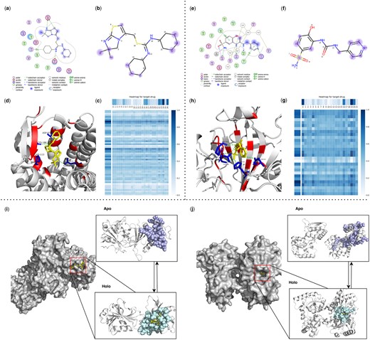 Visualization of ligands, binding pockets, DrugLAMP attention heatmaps and cryptic pockets for interpretability and generalization study. (a, e) Ligand interactions for IT1t in 3ODU and 3 g in 8FQX created by software molecular operating environment (Vilar et al. 2008) as a comparative reference for the prediction results of DrugLAMP. (b, f) We highlight top-8 atom as blue dots according to attention bar of drug in c, g, and the diameter of these dots is positively correlated with the degree of attention they receive. (c, g) Attention map for residues of target and atoms of ligand. For target, every nine adjacent residues are merged into a cluster to participate in prediction, ensuring that the predicted key residues are concentrated near one pocket rather than scattered. (d, h) 3D interactions diagram created by PyMol. The residues involved in forming pockets are set to color red. The key residues involved in the interaction are set to color blue and form sticks. (i) Loop motion. (j) Interdomain motion.