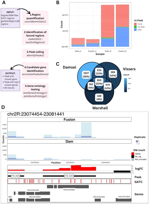 Overview of Damsel. (A) The main steps in the Damsel workflow alongside their Bioconductor functions, including region quantification, identification of bound regions, peak calling, candidate gene detection, and gene ontology testing. (B) Quality control plot illustrating the total counts (sequencing depth) of the samples, coloured by if the count from the region was part of the statistical testing, and if it was included in a peak. The replicate 1 samples (Dam_1 & Fusion_1) have a much lower sequencing library than replicate 2. (C) Venn diagram of peak overlap from the analysis of Vissers et al. (2018) data by Damsel, Vissers pipeline, and damidseq_pipeline (Marshall and Brand 2015). As expected, Damsel has a greater overlap with Vissers as they rely on the same testing procedure (edgeR) than it does with damidseq_pipeline. (D) Example visualization available in Damsel of the most significant peak found within the Vissers data. The layers of the plot show the counts across the regions for the Fusion and Dam-only samples, the differential methylation test results, the presence of significant peaks, the positions of the GATC sites, and the overlap to gene annotations.