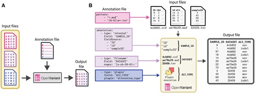 The essential functionality of OpenVariant with the orchestration of all its components. (A) Schematic representation of data workflow and file composition. This diagram shows the interplay between the three main components: input files, annotation file and output file, displaying how the data is processed. (B) Basic parsing functionality of the annotation structure. It illustrates the extraction of three distinct fields from diverse input formats