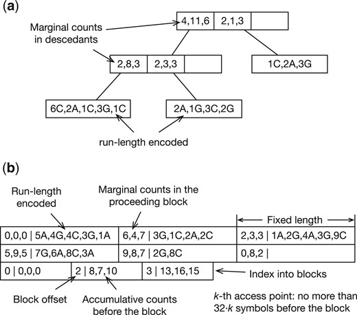 Examples of binary BWT encoding. The alphabet is {A,C,G}. (a) Encoded as a B+-tree. An internal node keeps the marginal counts of symbols in its descendants. An external node keeps the run-length encoded substring in BWT. A run length may be encoded in one, two, four, or eight bytes in a scheme inspired by UTF-8. A B+-tree organized this way resembles the rope data structure. (b) Encoded as a bit-packed array. The first two rows store run-length encoded BWT interleaved with marginal counts in each block. The Elias delta encoding is used to represent run lengths. The last row is an index into BWT for fast access.