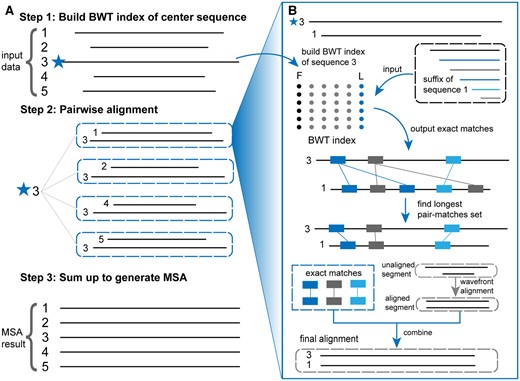 The overall workflow consists of three main steps: (A) the first step is to build the Burrows–Wheeler Transform (BWT) index of the center sequence, which serves as the reference for alignment. The second step involves pairwise alignment of the central sequence with each input sequence using the BWT index. Exact matches are identified, and the longest pair-matches set is found. The third step combines the pairwise alignments to generate the final multiple sequence alignment (MSA). (B) The detailed process of pairwise alignment includes constructing the BWT index for the central sequence (sequence 3), inputting the suffix of another sequence (sequence 1) to find exact matches using the BWT index, and identifying the longest set of pair-matches between the central sequence and the query sequence. For unaligned segments, the wavefront alignment algorithm is used to perform pairwise alignment, enhancing the alignment of long sequences. Finally, the aligned segments are integrated to obtain the final alignment between the sequences, resulting in a comprehensive MSA that leverages the efficiency of BWT and the accuracy of wavefront alignment.