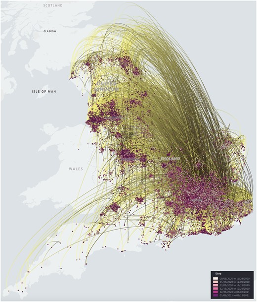 Continuous phylogeographic reconstruction of the dispersal history of SARS-CoV-2 lineage B.1.1.7 in England (in 3D mode), from 6 September 2020 until 12 January 2021. This visualization of a large SARS-CoV-2 dataset containing 17 203 genomes can be rendered efficiently using spread.gl, with animation of the spread over time being shown smoothly despite a large number of branches in the phylogeny.