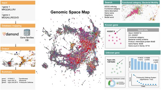 GeNLP overview. The left panel presents the sequence search mode workflow. The right panel demonstrates the explanatory mode features.