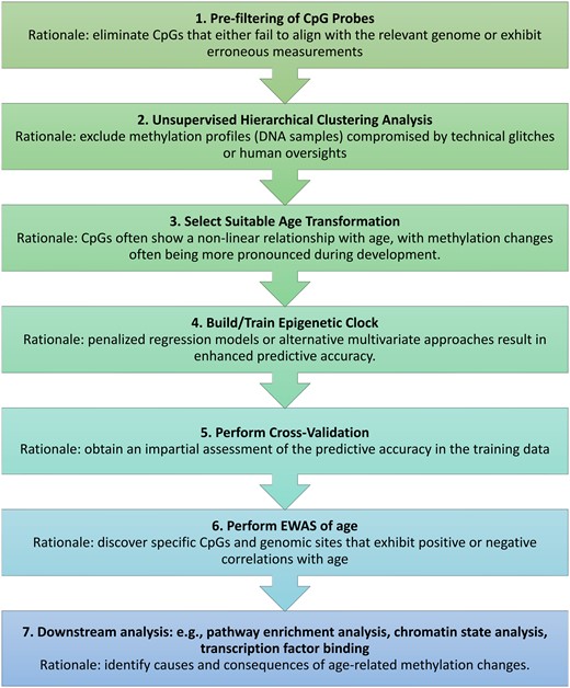 Flowchart for constructing and evaluating epigenetic clocks. This flowchart outlines the steps of creating and appraising epigenetic clocks, alongside the typical procedures and their underlying logic. For a deeper understanding of the causes and effects of epigenetic clocks, one might use functional enrichment tools and various other computational resources.