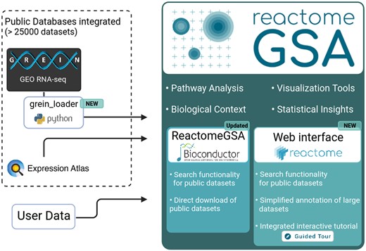 Schematic workflow of the public data integration and updated features in ReactomeGSA. Data can be directly loaded from GREIN, through the newly developed grein_loader Python package, and EMBL-EBI’s Expression Atlas. ReactomeGSA’s web interface was completely re-developed and now contains an integrated search function for all public datasets, an interactive tutorial, and improved functions to annotate large datasets. Finally, our R/Bioconductor package was updated to support the search and direct download of public datasets from all supported external resources.