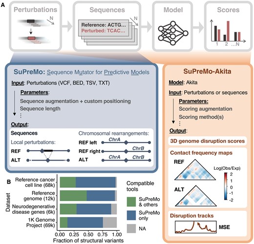 (A) Schematic representation of SuPreMo. SuPreMo generates sequences by incorporating perturbations into the hg38 human reference genome. SuPreMo-Akita applies Akita to those sequences and generates 3D genome disruption scores (effect size of each perturbation) and, optionally, disruption tracks and predicted contact frequency maps. Parameters and outputs are specified. REF: derived from reference allele; ALT: derived from alternate allele; Log(Obs/Exp): log of observed over expected contacts; MSE: mean squared error. (B) Categorization of SVs based on the ability of SuPreMo and other existing tools to incorporate them into a reference genome. SVs that other tools can already process include small indels (green); SVs that only SuPreMo can process include deletions, duplications, inversions, and chromosomal rearrangements (navy); SVs that no tool can process include insertions and copy number variants (CNVs) because the exact sequence is not provided by upstream variant calling pipelines (gray). Datasets are WGS/WES from healthy and disease individuals: a reference cancer cell line (Talsania et al. 2022), a reference genome (Zook et al. 2020), neurodegenerative disease gene sequences (Kaivola et al. 2023), and the 1K Genome Project (Mahmoud et al. 2019).