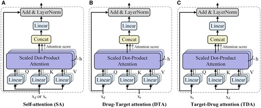 Three types of mechanism in deep interactive attention module. (A) SA mechanism, (B) DTA mechanism, (C) TDA mechanism.