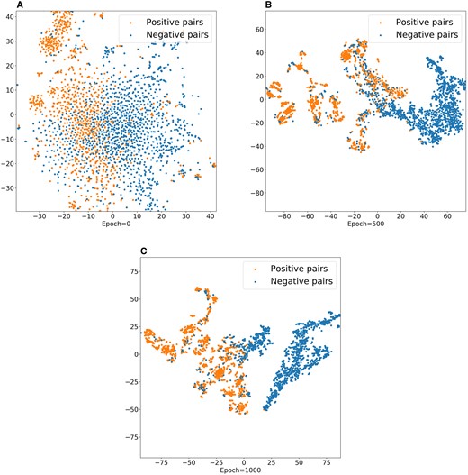 Visualization of the learned drug–target embeddings by MIDTI under different epochs.