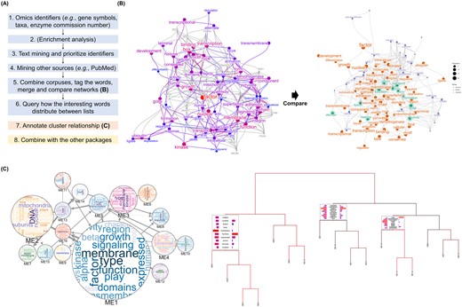 The example visualization using the biotextgraph package. (A) The overview of the workflow using the package. (B) The summarization using a correlation network obtained using the queries of interested gene identifiers (symbol) and RefSeq summary obtained by analyzing RNA-seq dataset of BKPyV infection in RPTEC, with the candidate genes related to high-frequent words. The result was compared to the other network derived from analyzing the other cells. (C) Bayesian network of gene clusters obtained from the RNA-seq dataset of bladder cancer was annotated using the package and exported to interactive visualization with Cytoscape.js. Wordclouds inside the nodes correspond to textual information in the cluster, and edge width corresponds to the strength of interaction. The dendrogram representing how the words are distributed across branches, which can be used not only for the gene identifiers but for microbial taxa.