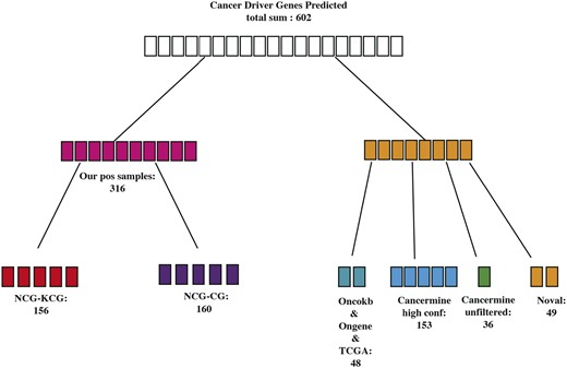 Suspected cancer driver genes predicted by MCDHGN.