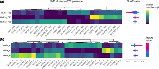Clusters of correlated TF presence. Clusters (k = 12) of TF co-binding were identified using non-negative matrix factorization (NMF) applied to TF presence matrix at the (a) TSSs and (b) enhancers separately. The TF membership (H matrix) for top three clusters important for prediction is shown, next to their SHAP values