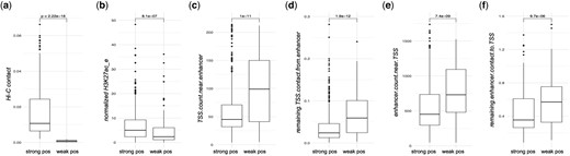 Features that are different between positive EPs with strong contact versus weak contact. strong pos, positive EP with strong contact (Hi-C ≥ 0.002); weak pos, positive EP with weak contact (Hi-C < 0.002) (a) Hi-C contact. (b) normalized H3K27ac at the enhancer. (c) TSS count near the enhancer. (d) remaining TSS contact from the enhancer. (e) enhancer count near the TSS. (f) remaining enhancer contact to the TSS.
