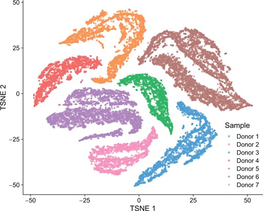 Dimensionality reduction of the NSCLC DTCs dataset using t-SNE. Several clusters are visible, but contain cells coming from one single donor. t-SNE captures variability between batches rather than grouping cells together by specific expression patterns.