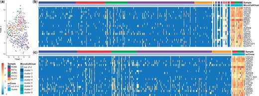 Breast cancer GARP+ Tregs from five donors. (a) Dimensionality reduction using t-SNE. No distinct clusters emerge, which indicates this data seems homogeneous and does not suffer from the presence of batch effects. (b) Result of eight runs of MicroCellClust. The genes displayed are those corresponding to the eighth cluster (only the top 20 with highest contribution to the objective are shown). These genes are highly expressed in cluster 8, but also in cluster 5, which has been identified earlier and grouped to sample-specific genes. (c) The result of scCross showing the 20 marker genes with highest contribution to its objective. The cluster 8 of MicroCellClust is identified during the first run, and includes the three cells from cluster 5.