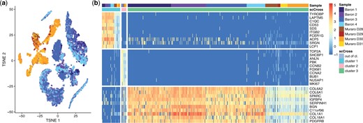Results of the pancreas case study. (a) Dimensionality reduction of the pancreas data using t-SNE. One observes strong batch effects between the data from the two different studies. (b) Result of scCross with 10 genes displayed for each cluster (out-of-cluster cells, which represent 96% of the total, are not displayed). One observes a significant shift in expression levels between the cells of the two studies. Yet, the global sum criterion used in scCross ensures related cells are grouped into the same cluster.