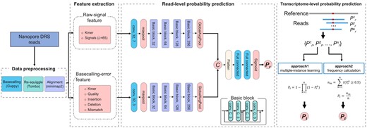 Pipeline of RedNano for detecting RNA m6A from Nanopore DRS reads. L is the fixed signal length; (conv, 32, 7) represents a 1D convolution layer with 64 output channels and a kernel size of 7; Pr is the read-level methylation probability; Pt is the trascriptome-level methylation probability.
