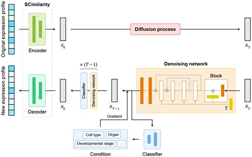 The overall structure of scDiffusion.