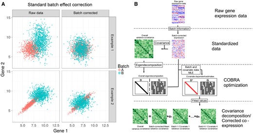 Identifying and correcting batch effects in correlation networks using COBRA. (A) Effect of standard batch correction on co-expression. Top: two conditionally independent genes simulated in two batches showing how batch effects can be corrected using ComBat’s location-scale method. Bottom: simulation of two artifactually correlated genes in Batch A but not Batch B; batch-dependent correlation persists after ComBat correction. (B) COBRA’s Workflow begins with (1) normalizing the input gene expression and (2) computing the co-expression matrix. (3) Performing an eigendecomposition of the co-expression matrix, and, using the eigenvectors as a basis, estimating “pseudo-eigenvalues” for each covariate, minimizing the reconstruction error. Finally, (4) the fitted pseudo-eigenvalues, in combination with the eigenvector matrix Q, are used to infer batch-corrected networks or to analyze covariate-specific co-expression.