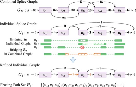 Bridging in Aletsch: Reads R1 and R2 are successfully bridged in graph G1 (dashed green blocks). Read R3 fails to bridge in G1 due to the absence of a path from v2 to v4. But it can be bridged in combined graph GM (orange), restoring a missed junction, and updating edge weights in G1. Bridged reads in G1 form phasing path set H1.
