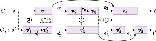 Types of edge support from splice graph Gj to Gi: ① Junction edge. ② Adjacent edge. ③ Starting/ending edge.