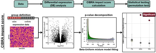 Flowchart of the CIBRA impact score calculation. As input CIBRA takes expression data and a group definition in terms of cases and controls: for example, mutated versus WT samples for a specific genomic alteration. These inputs are used to perform differential expression (DE) analysis between the cases and controls. The P-value distribution generated from the DE analysis is subsequently decomposed by fitting a Beta–Uniform mixture model. From the model, the CIBRA impact score termed the significant area is calculated by taking the integral between the Beta and Uniform components of the mixture model, depicted as the green area in the third panel. Finally, the statistical significance of the impact measure is assessed with a permutation test.