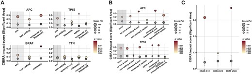 Refining genomic alterations by mutation type and genomic location for the identification of impactful alterations using CIBRA. (A) CIBRA impact score for SNVs dissected in their underlying coding effects: non-coding, synonymous, missense, splice, and nonsense or frameshift for four frequently mutated genes in metastatic colorectal cancer: APC, TP53, BRAF, and TTN using data from metastatic microsatellite stable CRC. Two of the genes, APC and TP53, are known tumor suppressor genes. BRAF is a known oncogene, and TTN is a recurrently mutated gene without a known cancer-associated function in CRC. (B) CIBRA impact score for SCNAs combined with SNV coding effects for the TSGs APC and TP53 in metastatic microsatellite stable CRC. (C) CIBRA impact score visualization of KRAS codon 12 (G12), 13 (G13), and BRAF codon 600 (V600) mutations. (A), (B), and (C) Shaded gray area: the impact score of the overall effect of SNVs or SCNAs. Gray dot: median permutation CIBRA score, with the error bars representing the IQR. Dot color: significance of the CIBRA score assessed by a permutation test. Dot size: prevalence of the alteration (%).