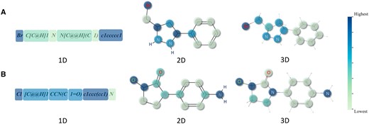 Visualization of three modalities of molecules based on attention weight coloring. (A) and (B) are two randomly selected examples from pre-training dataset.