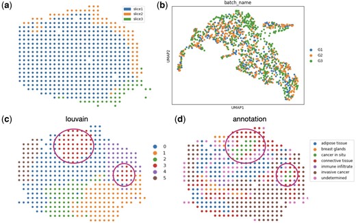 Graspot integrated multiple human breast cancer spatial transcriptomics data. (a) Three spatial transcriptomics slices from HER2 breast cancer patient G with sections of adjacent slices overlapping along the z-axis. (b) Integrated embedding of three ST slices in common space. (c) Clusters in template slice G2. (d) Pathological annotations of G2 slice.