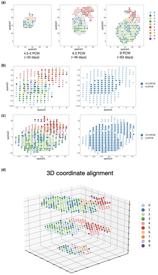 (a) Distribution of spot types in ST slices sampled from three different developmental stage. (b) Coordinate alignment result of ST slices from 4.5 to 5 PCW and 6.5 PCW. (c) Coordinate alignment result of ST slices from 6.5 PCW to 9 PCW. (d) The alignment of three ST slices (4.5–5 PCW, 6.5 PCW, 9 PCW) in a 3D coordinate framework.