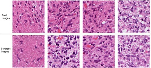 Representative examples of real (top row) and generated images (bottom row) from protein expression profiles in testing.
