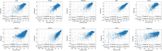 Scatterplots of ground truth versus predicted protein expression profiles for top predicted protein biomarkers. Also shown is the comparative performance of Ouroboros versus the baseline ResNet50 model in terms of the mean (standard deviation) of Pearson (r) and Spearman correlation coefficients (ρ) between predicted and actual expression of various proteins across test image patches (correlation P-value ≪0.001).
