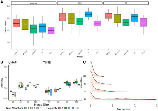 Robustness of the models to varying image properties. (A) Independent test accuracy, AUC, and F1 score set using the Jin dataset. (B) Accuracy for different parameters of UMAP and TSNE two-dimensional embeddings and different image sizes. (C) Distribution of the number of taxa assigned per pixel.