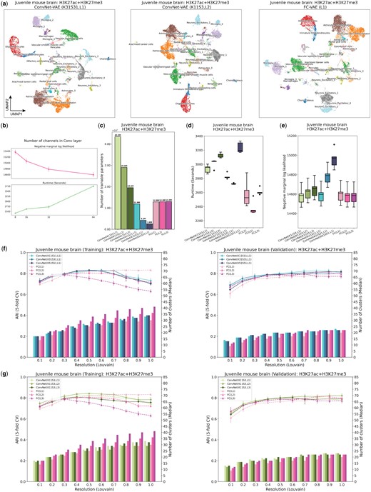 ConvNet-VAEs integrate single-cell bi-modal epigenomic profiling data from mouse brain. (a) UMAP visualization of cell embeddings from ConvNet-VAEs (left, middle) and FC-VAE (right). (b) For single-Conv1D-layer ConvNet-VAE, more channels in the convolutional layer lead to a larger marginal log-likelihood of the validation set at the cost of longer runtime in training, according to the result from five-fold cross-validation. (c) The number of trainable parameters depends on the number of Conv1D layers and stride. ConvNet-VAEs from Group 1 require fewer parameters than FC-VAEs while those from Group 2 need more parameters. (d) Training time across five-fold cross-validation is reported for each model. (e) Negative marginal log-likelihood of validation set estimated through importance sampling (five-fold cross-validation). A lower value implies a larger marginal log-likelihood. (f) Comparisons between ConvNet-VAEs with single Conv1D layer (Group 1) and FC-VAEs in terms of the quality of cell embeddings (training set: left; validation set: right). The bars show the median number of clusters obtained by the Louvain algorithm from five splits in cross-validation over a range of resolutions. The corresponding average Adjusted Rand Index (ARI) is calculated by comparing the resulting clusters to the published cell type labels, displayed as a line plot. Error bars indicate SD across five-fold cross-validation. (g) Comparisons between ConvNet-VAEs with multiple Conv1D layer (Group 2) and FC-VAEs in terms of cell embeddings’ quality (training set: left; validation set: right), exhibited in the same way as (f).